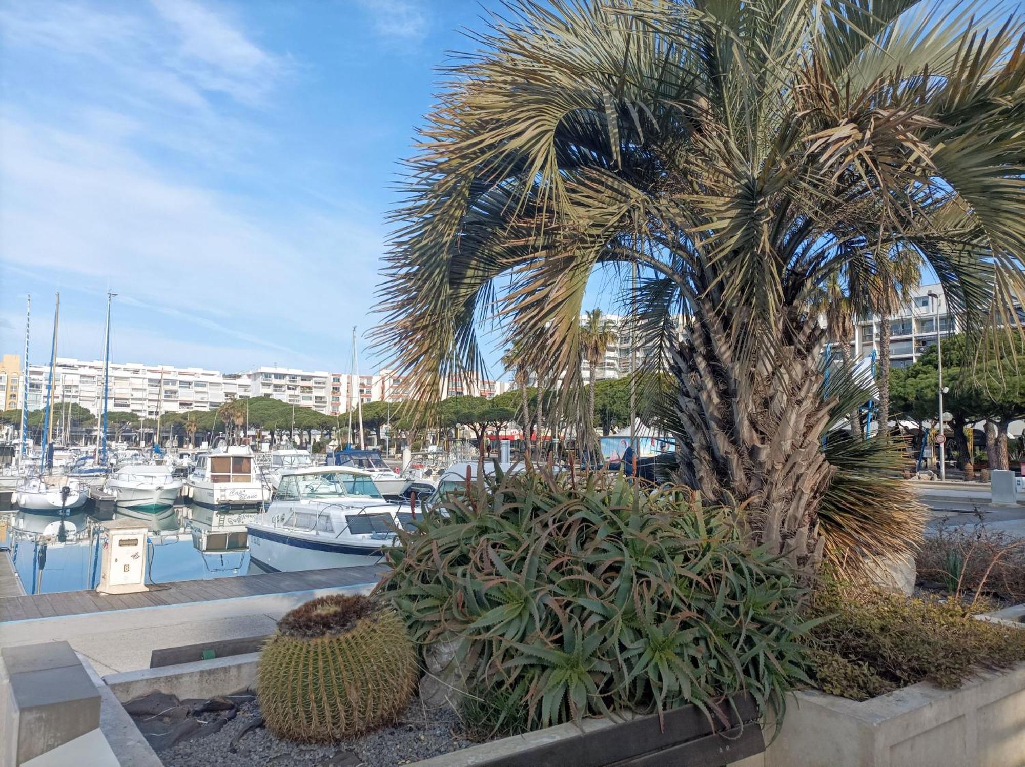 Studio Port De Plaisance Mauguio Exterior photo